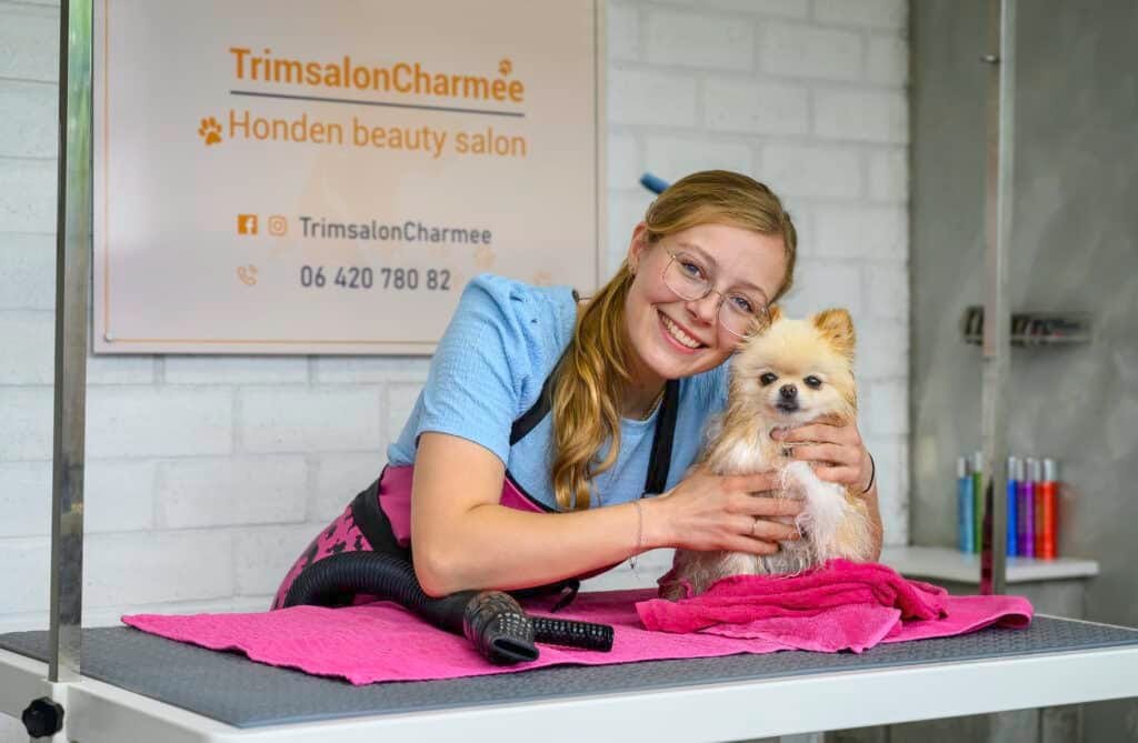 Grooming a small dog at salon.