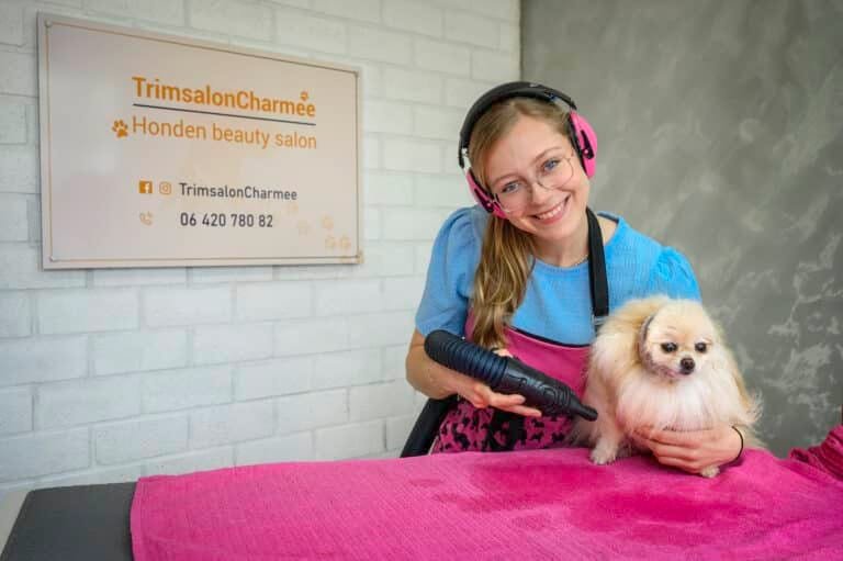 Dog grooming at a beauty salon.