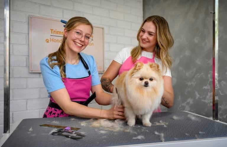 Two groomers styling a fluffy cat.