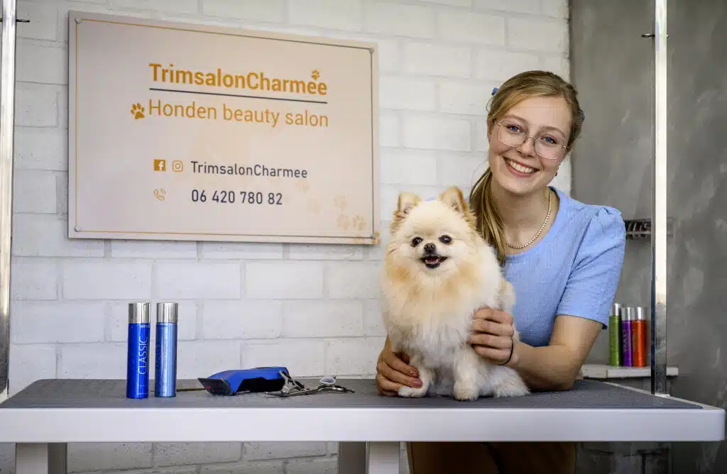 Dog being showcased at trimsalon