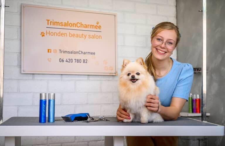 Dog being showcased at trimsalon