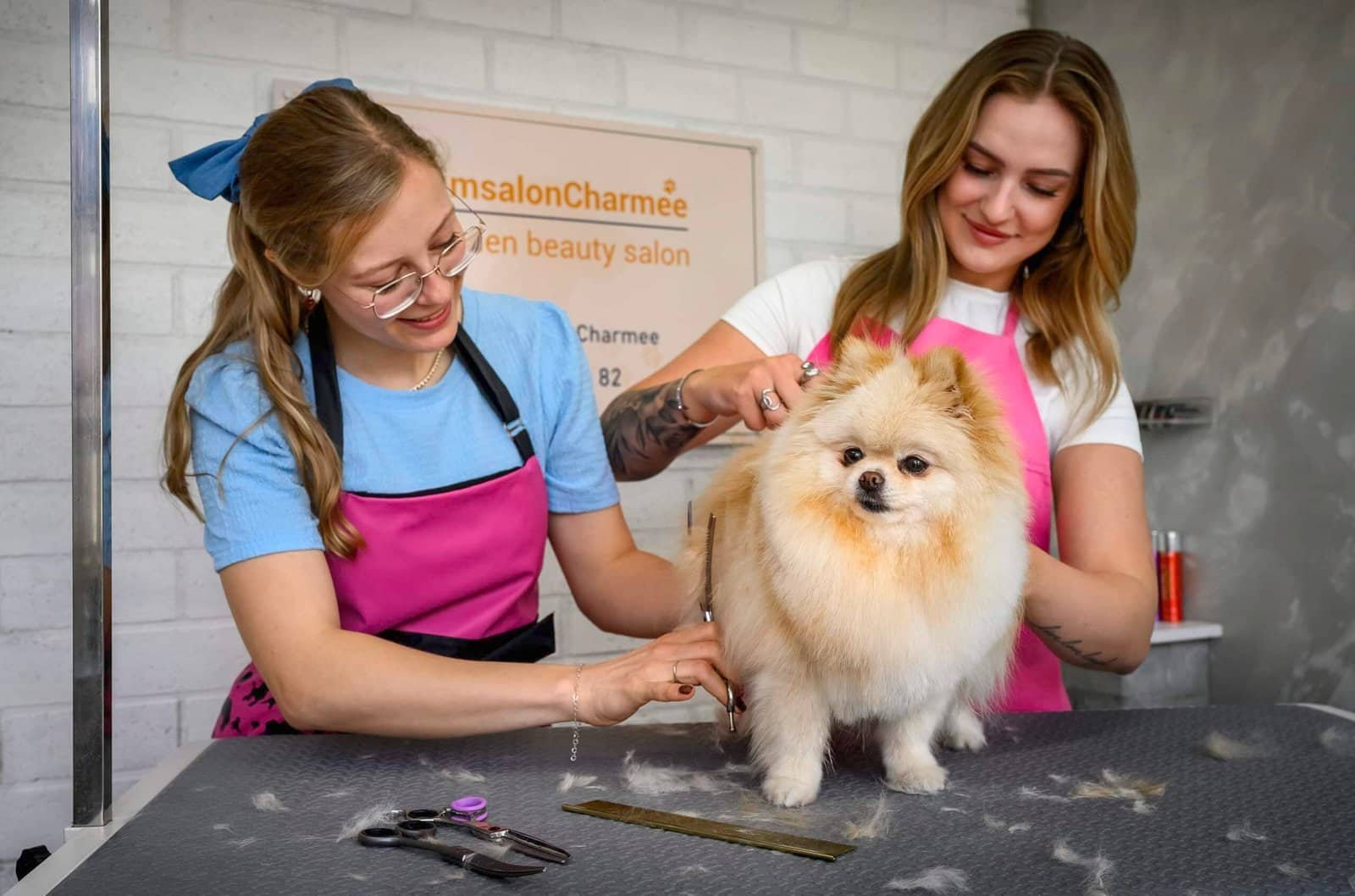 Het team van Trimsalon Charmee