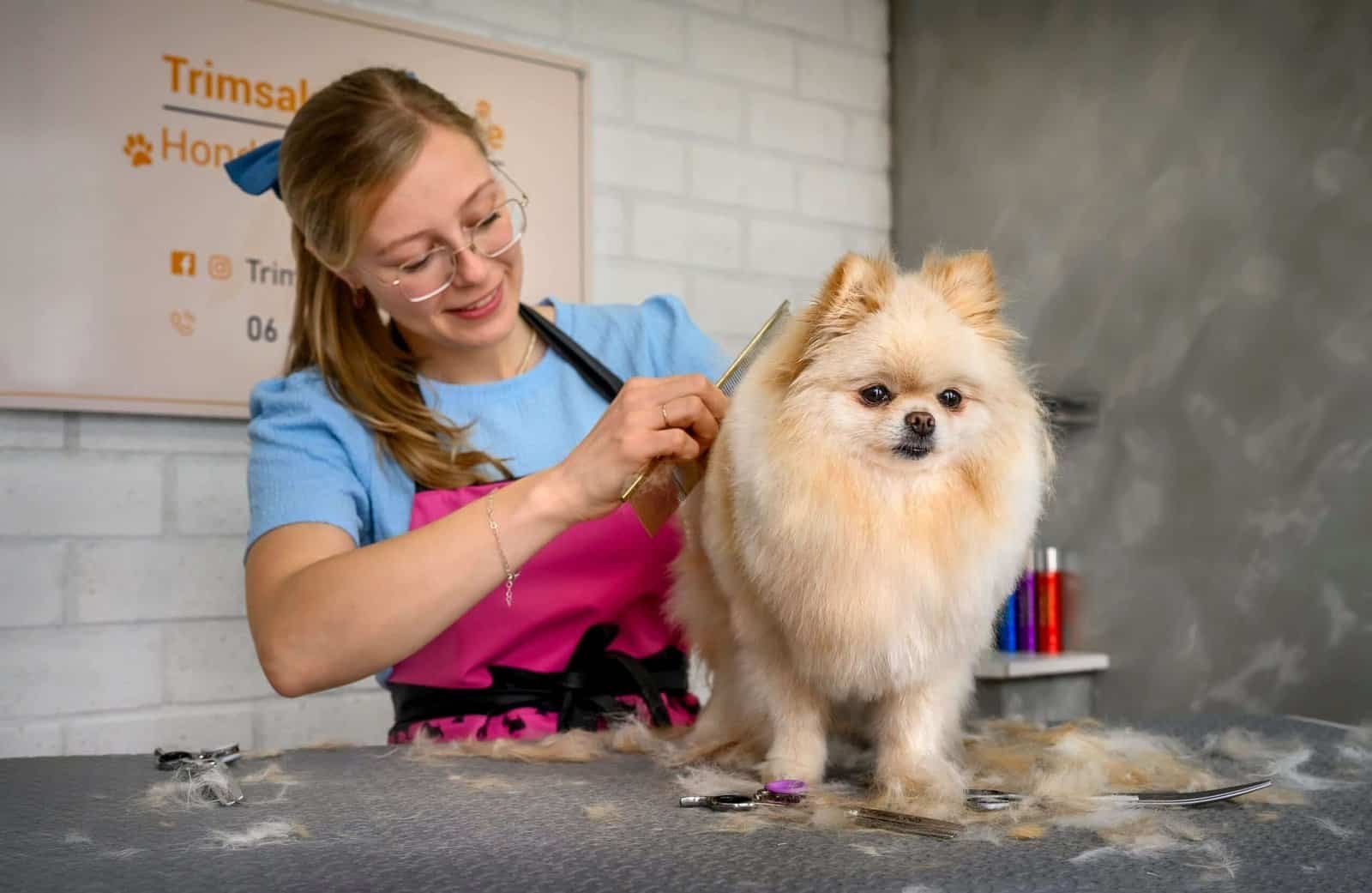 Charlotte kamt de krulvacht van een hond door tot op de huid bij Trimsalon Charmée