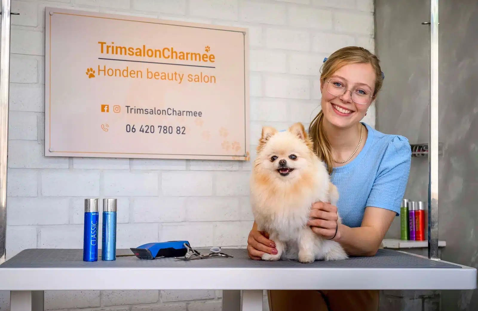 Charlotte, gediplomeerde hondentrimster bij Trimsalon Charmée, vlakbij Assendelft, met een hond op de trimtafel